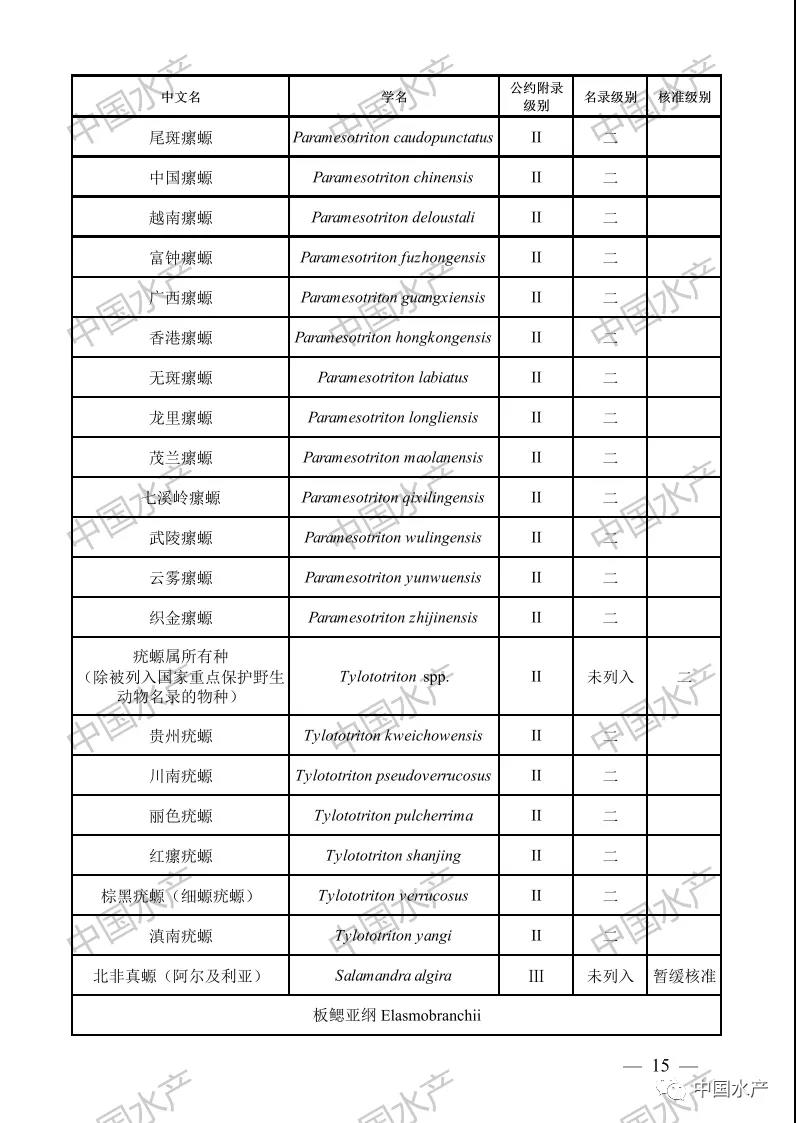 按此在新窗口瀏覽圖片