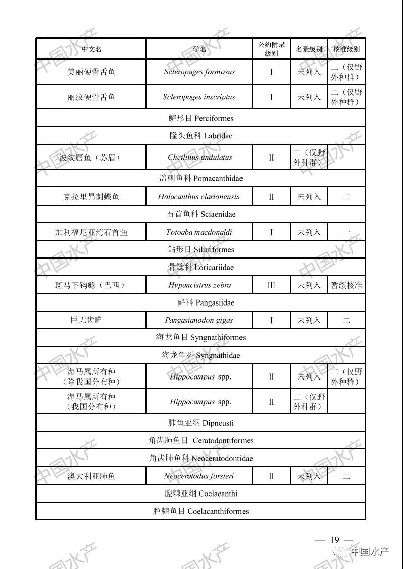 按此在新窗口瀏覽圖片