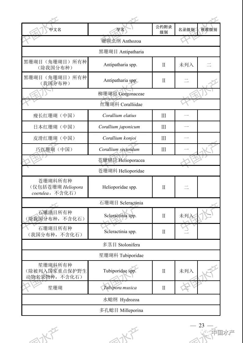 按此在新窗口瀏覽圖片