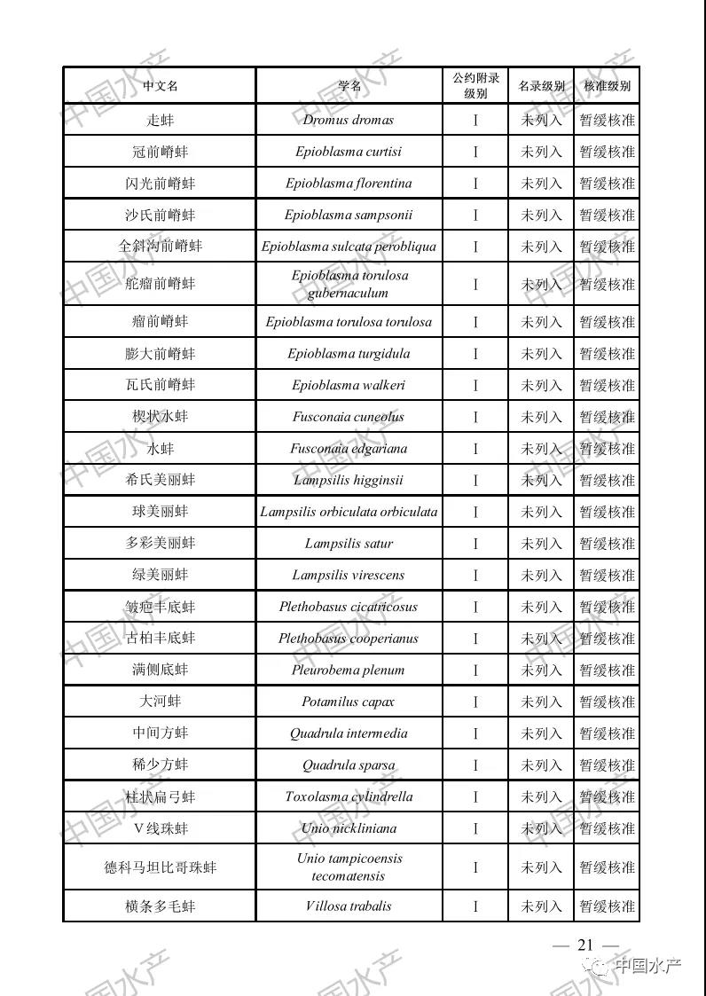 按此在新窗口瀏覽圖片