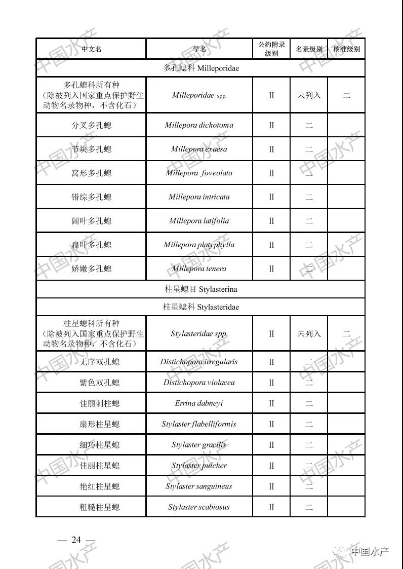 按此在新窗口瀏覽圖片