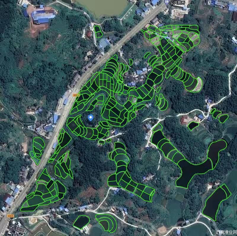永川水花水产基地卫星地图鱼塘场景描图