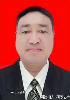 王子文-会员