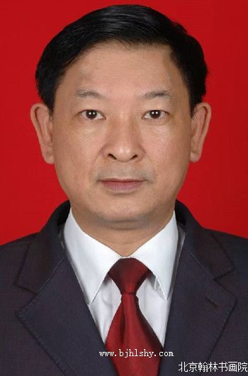 陈海平-西南分院副院长